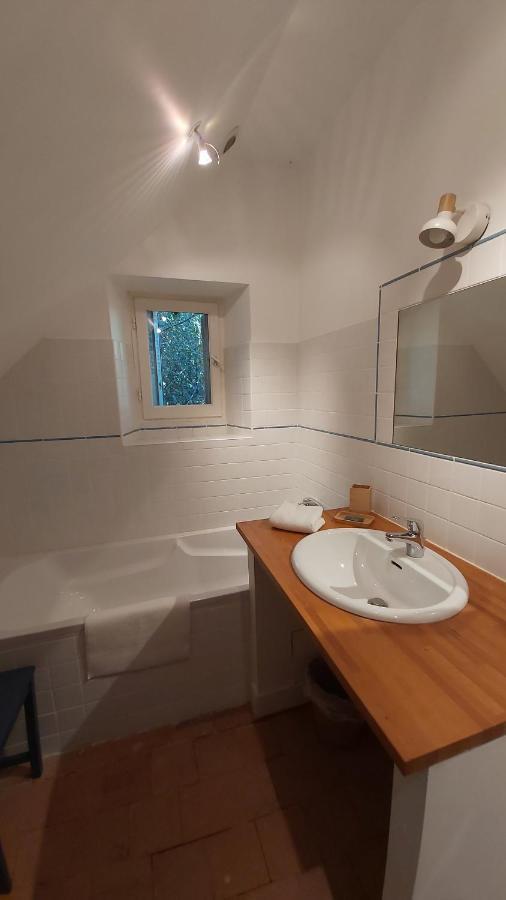 Holiday home La Pinconniere Verneuil-sur-Indre